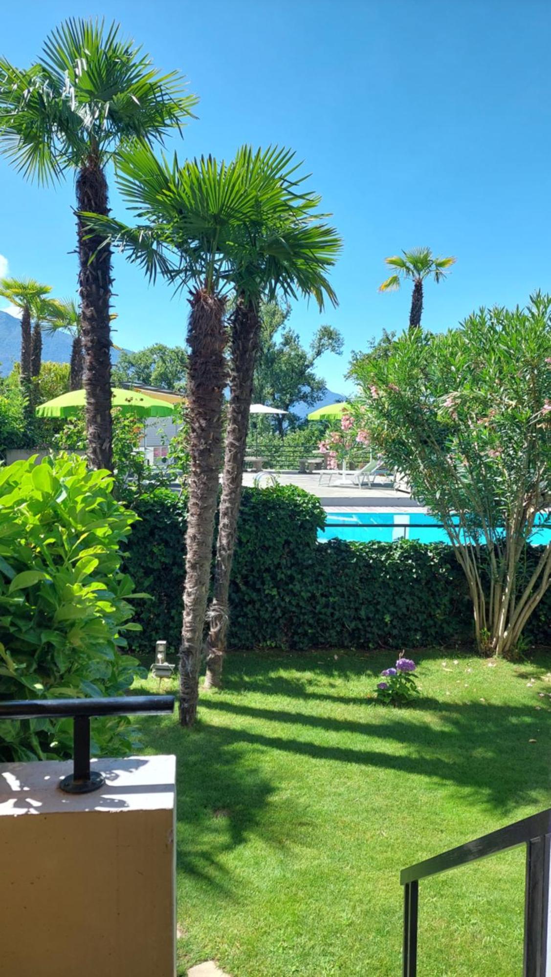 Hotel Nessi Locarno Exterior photo